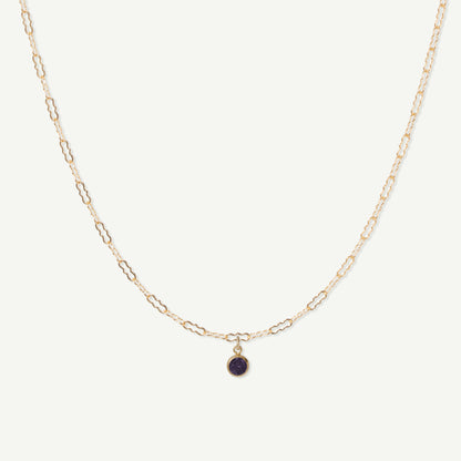 LucyKitty Gold Filled Fayette Birthstone Necklace in February Amethyst